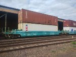 BRAD PRT-065179-6